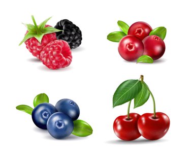 Orman berry. Tatlı meyve. Gerçekçi illüstrasyon. 3D vektör Icon set
