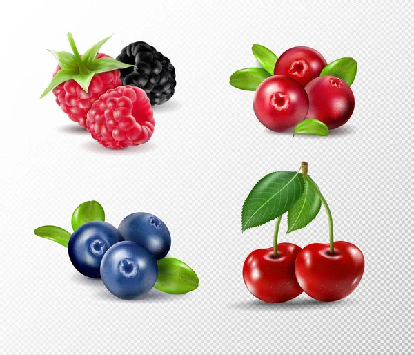 Forest berry. Sweet fruit. Realistic illustration. 3d vector icon set — Stock Vector