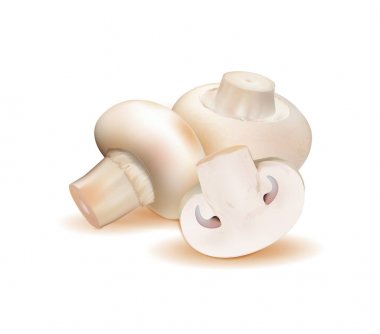 Champignon mantarbeyaz arka plan üzerinde izole. Kalite gerçekçi vektör, 3d