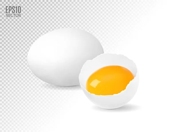 Œuf blanc cassé avec jaune coulant et œuf entier sur fond transparent. Illustration vectorielle eps10 . — Image vectorielle