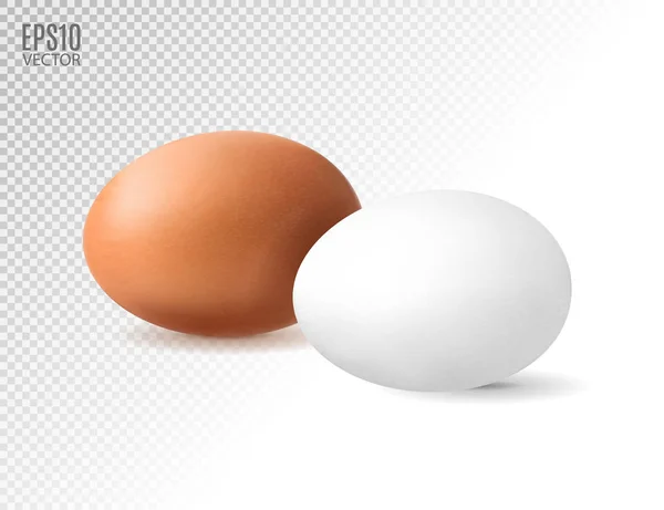Ensemble d'œufs de poulet réaliste. Œufs bruns et blancs. Modélisation vectorielle isolée. Concept de Pâques . — Image vectorielle