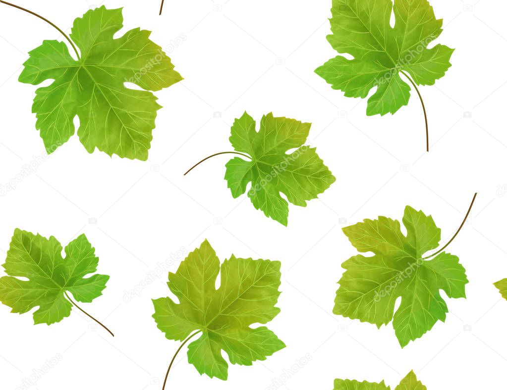Seamless background with grape leaves. Vector illustration.