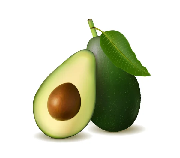 Realistische, detaillierte Avocado-Illustration, isoliert auf weißem Hintergrund mit Hälften und ganzen Avocado. Vektor, 3D-Abbildung — Stockvektor