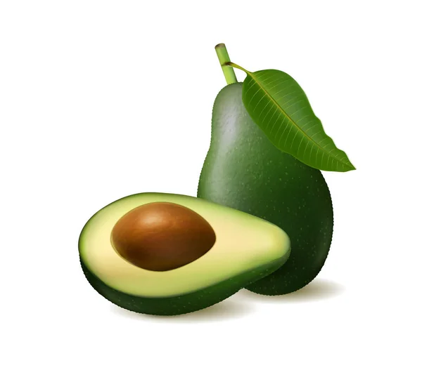 Realistische, detaillierte Avocado-Illustration, isoliert auf weißem Hintergrund mit Hälften und ganzen Avocado. Vektor, 3D-Abbildung — Stockvektor