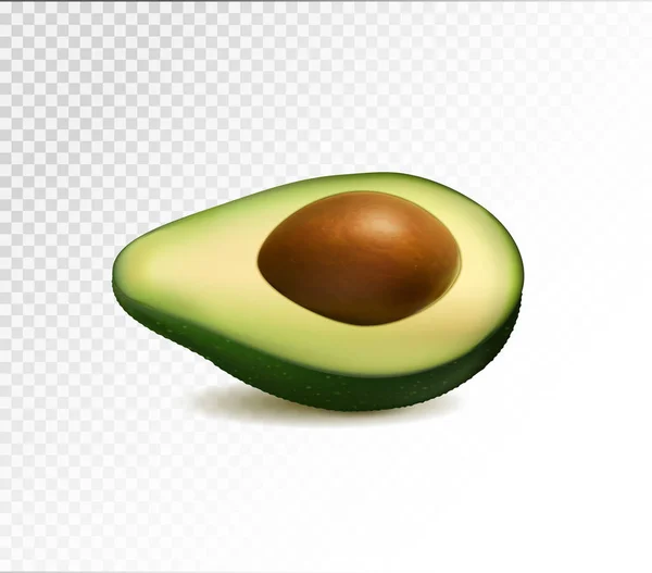 Half avocado fruit geïsoleerd op transparante achtergrond. Vector realistisch, 3D illustraton — Stockvector