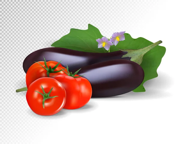 Vetor foto-realista. Grupo fresco colorido de verduras. Berinjelas e tomates. ilustração 3d —  Vetores de Stock