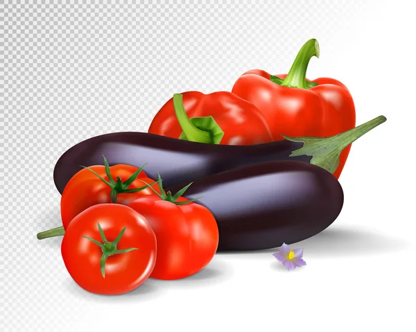 Vetor foto-realista. Grupo fresco colorido de verduras. Berinjelas e tomates. ilustração 3d — Vetor de Stock