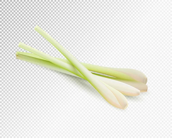 Citroengras kruid groente set. Realistische vector op transparante achtergrond, 3D illustratie — Stockvector