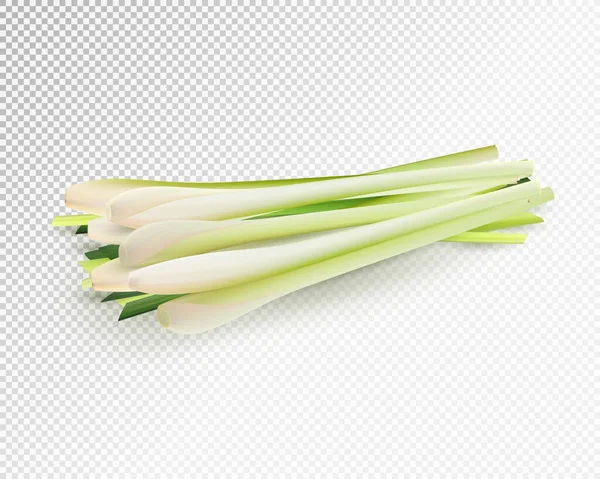 Lemongrass herb vegetable set. Realistic vector on transparent background, 3d illustration — Stock Vector
