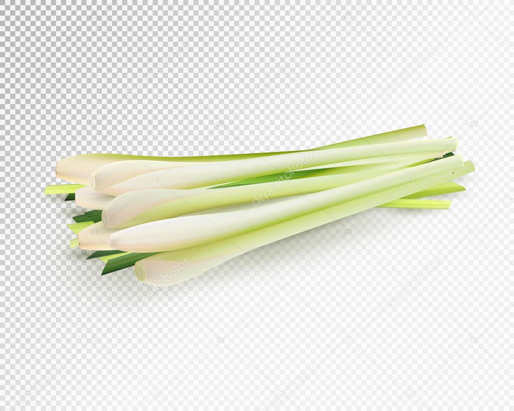 Lemongrass herb vegetable set. Realistic vector on transparent background, 3d illustration