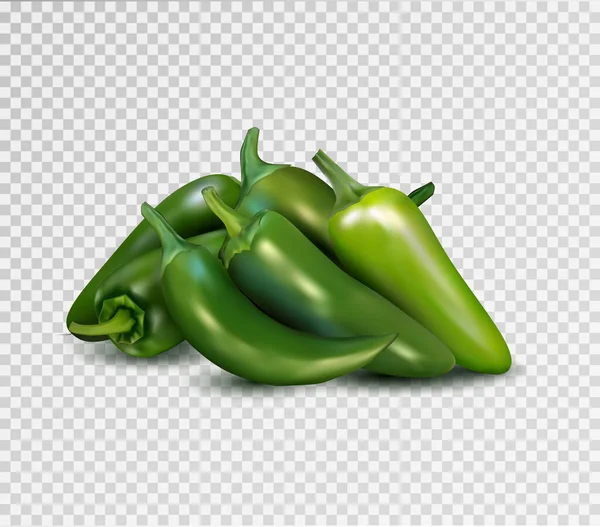 Forró zöld bors átlátszó háttérrel. Jalapeno csoport. Minőségi reális vektor, 3d illusztráció. — Stock Vector