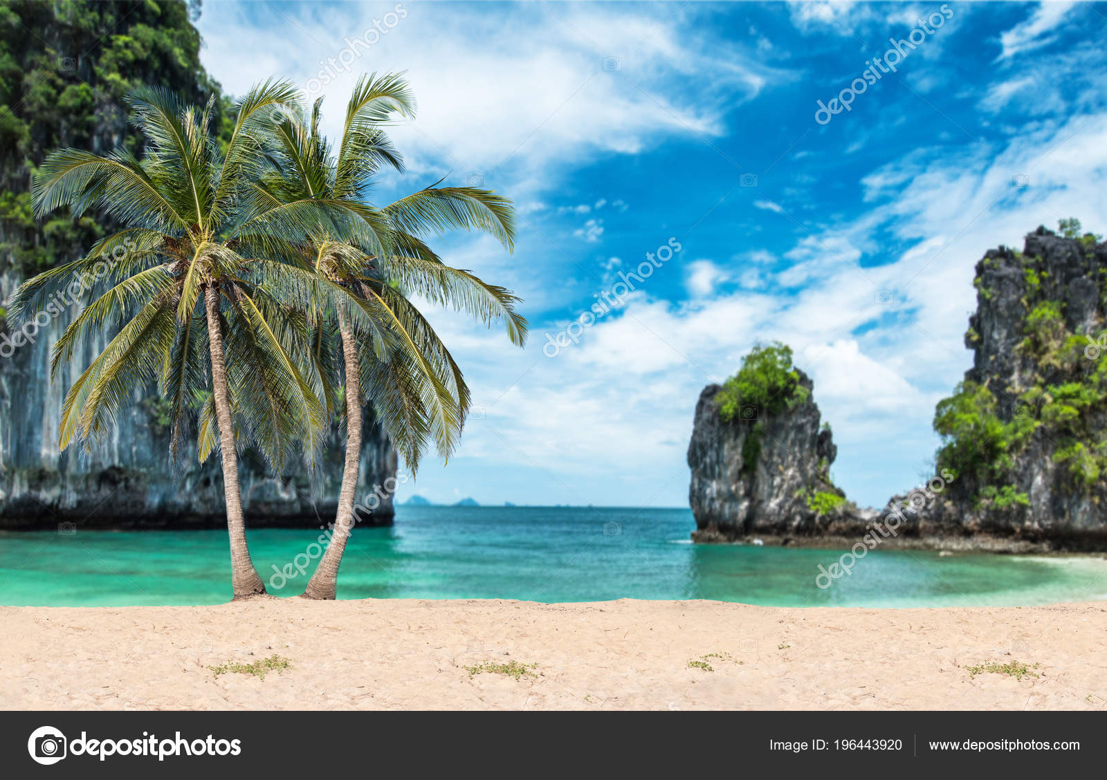 Coconut Palms Beach Background Sea Stock Photo Image By C Utah778 Coconut Palms Beach Background Sea Stock Photo Image By C Utah778