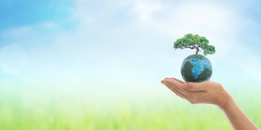Eller, temiz doğal arka planda büyük ağaç toprak Eko biyo dünya üzerinde büyüyen Earth'te. Dünya Çevre Günü ve yeşil kavramı.