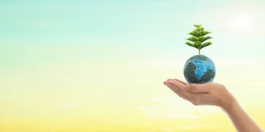 Eller, temiz doğal arka planda büyük ağaç toprak Eko biyo dünya üzerinde büyüyen Earth'te. Dünya Çevre Günü ve yeşil kavramı.