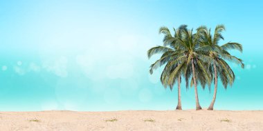 Plaj ve deniz arka planı bokeh Hindistan cevizi avuç içi.