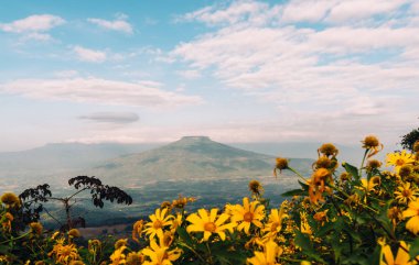 Phu Pa Po dağ Mount Fuji Japonya gibidir. Loei Eyaleti, Tayland bulunmaktadır.