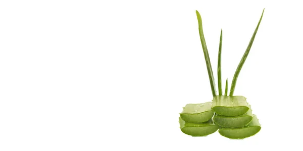 Fetta Isolata Aloe Vera Fondo Bianco — Foto Stock