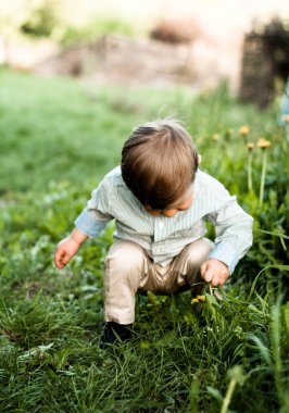 Karahindiba ile yüksek yeşil çimlerin sevimli bebeğim