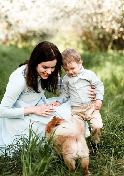 Moeder Baby Zoon Spelen Met Hond Spitz Gras Tuin — Stockfoto