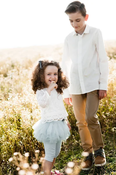 Glimlachend Krullend Baby Met Haar Oudere Broer Lopen Onder Kamille — Stockfoto