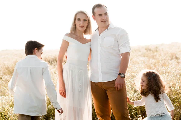 Jonge Ouders Met Twee Kinderen Een Veld Van Kamille — Stockfoto