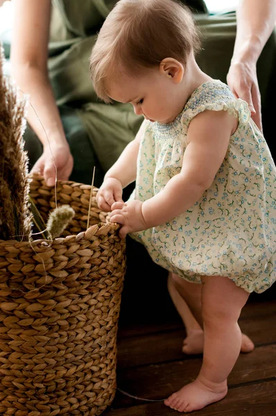 可爱的小女孩在绿色礼服附近的柳条篮子与干草药 — 图库照片