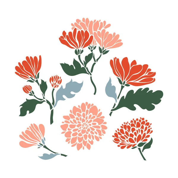 Çiçekler ayarlayın. Krizantem topluluğu. Vektör çizim.