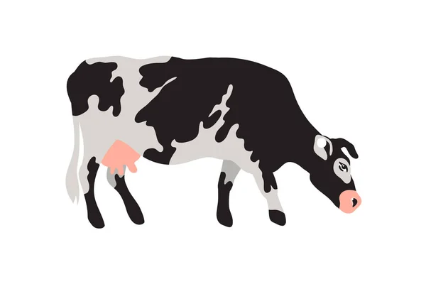 Vache Tachetée Lait Noir Blanc Gris Rose Agriculture Agriculture Vie — Image vectorielle