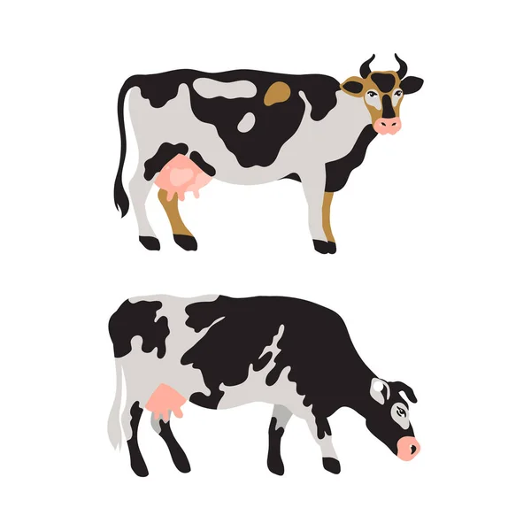 Süt inekleri kümesi siyah, beyaz, gri, altın ve pembe benekli. Tarım, tarım, köy yaşamı. Pet vektör çizim.