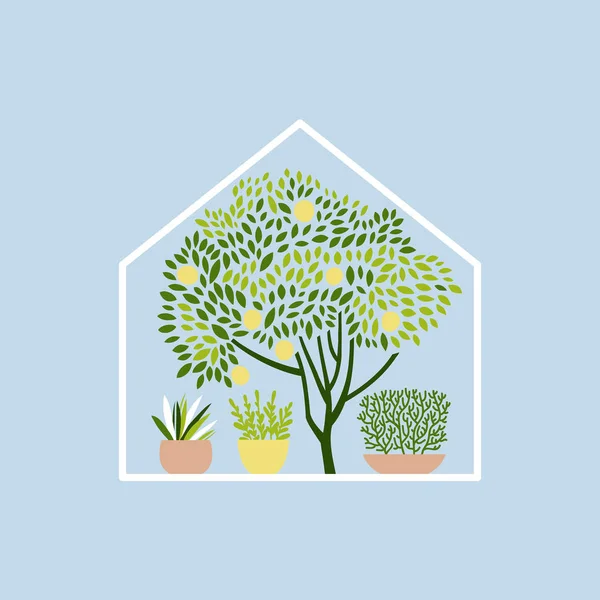 Kas met fruitbomen, kruiden en planten in potten. Vector illustratie. — Stockvector