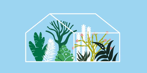 Kas met cactussen, vetplanten en palmbomen. Tropisch huis voor planten. Vector illustratie. — Stockvector