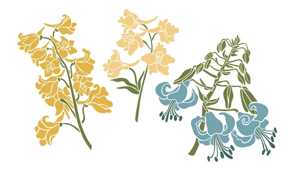 Colección de flores botánicas. Lily y los delfinios. Ilustración vectorial . — Vector de stock