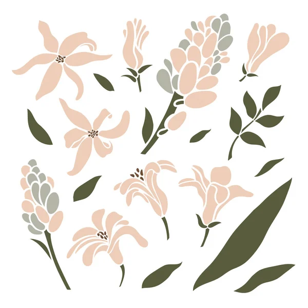 葉の集合 芽とヒヤシンスの芽 花のコレクション ベクターイラスト — ストックベクタ