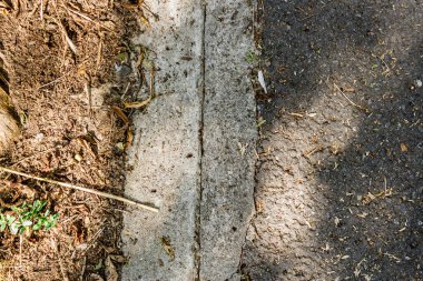 Sonbaharda yeşil çimlerle ve yapraklarla parkta yürüyüş yolu.
