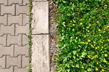 Sonbaharda yeşil çimlerle ve yapraklarla parkta yürüyüş yolu.