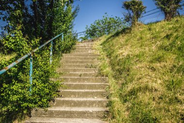 Yazın ortasında bir parktan birkaç basamak ötede vurulmuş.