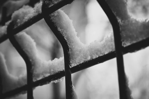 Close Metal Fence Covered Snow — Stock Photo, Image