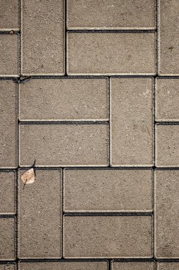 Dikey taş kaldırım ve bir yaprak