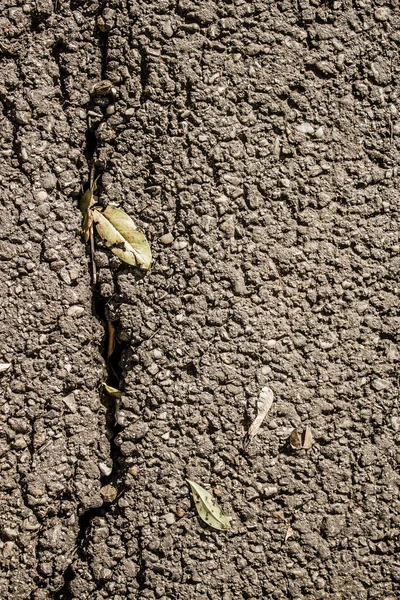 Detailní Svislý Pohled Prasklinu Asfaltové Cestě Listy Podzim — Stock fotografie