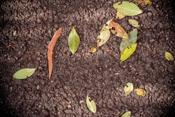 Detailní Vodorovný Pohled Prasklinu Asfaltové Cestě Listy Podzim — Stock fotografie