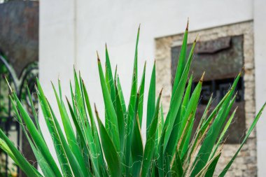 Bıçak bir evin yakınından geçer.