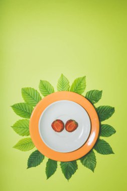 Beyaz ve turuncu yapraklı çilek dilimi ve limon yeşili arka plan. Bir broşür, pankart, kapak veya broşür için dikey tasarım