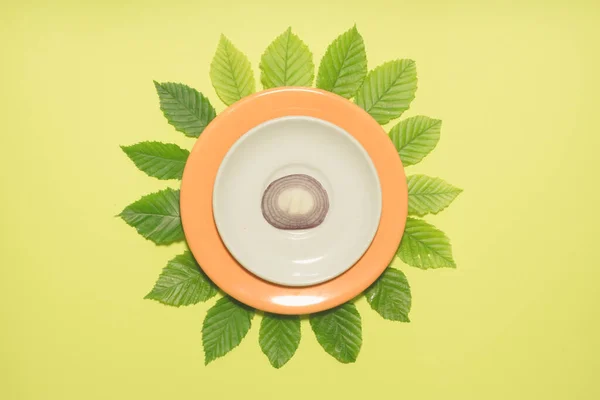 叶子和石灰绿色背景之上的白色和橙色盘子上的洋葱片 — 图库照片