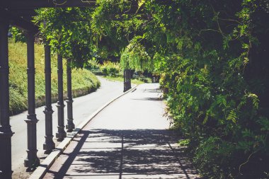 Yapraklardan yapılmış bir tünel. Klasik bahçe mimarisi işte. Eşleştirme Renkli