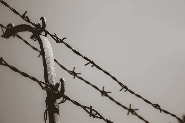 Black and white to barbed wire