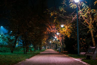 Boş bir park sokağının iç karartıcı manzarası. Geceleri sokak lambasıyla aydınlatılmış boş bir bank.