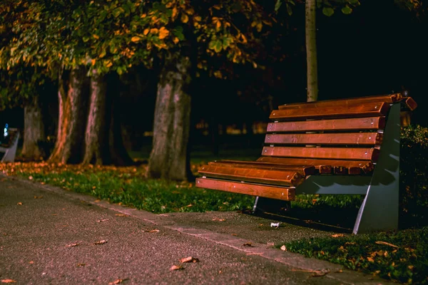 Kamu parkındaki bir lambayla aydınlatılmış bir bankın gece çekimleri. Üzücü sonbahar arkaplanı