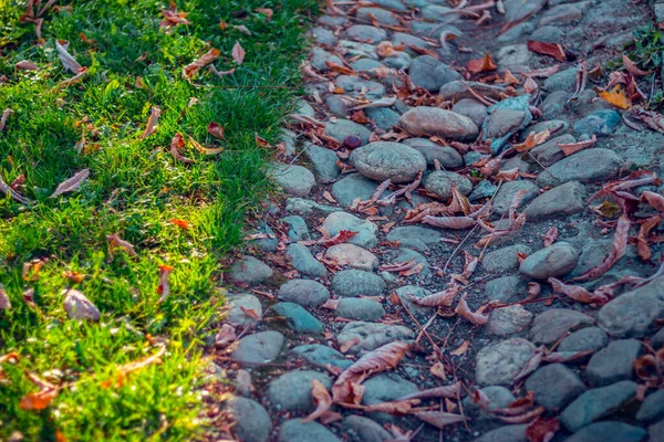 Skały Naturalne Tło Kamienna Ścieżka Trawą Ogrodzie Publicznym — Zdjęcie stockowe