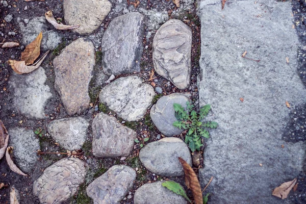 Vue Dessus Une Route Pavée Avec Des Rochers Contexte Naturel — Photo