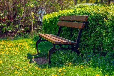 Parkta boş, paslı bir bank. Çekimde kimse yok.